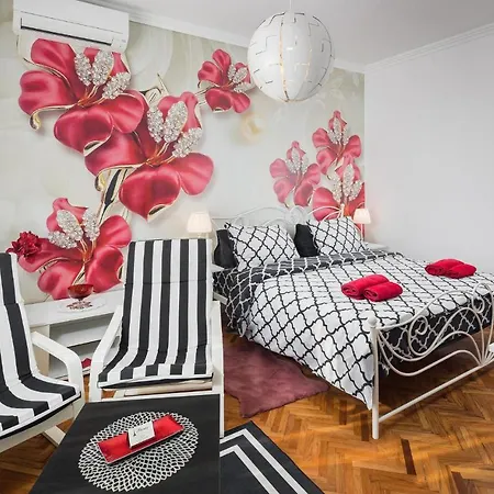 Lovely In Finida With Wifi Apartment *